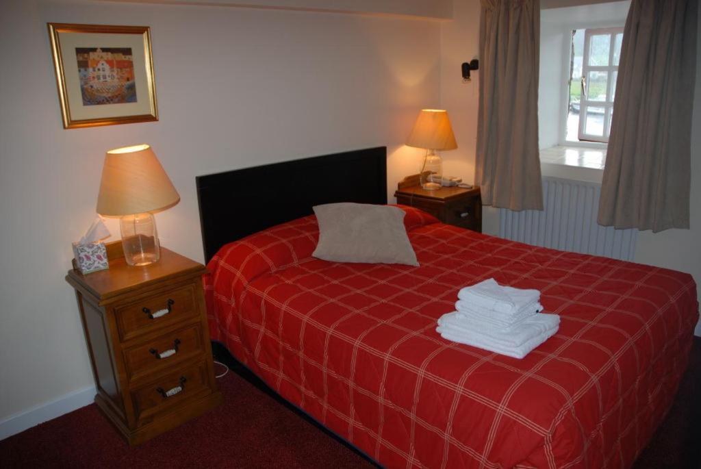 Waterside Guesthouse Graiguenamanagh Ngoại thất bức ảnh